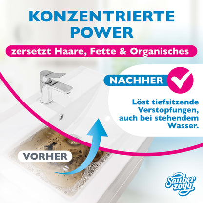 Abflussreiniger 2er Pack